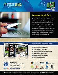 ecommerce website designer